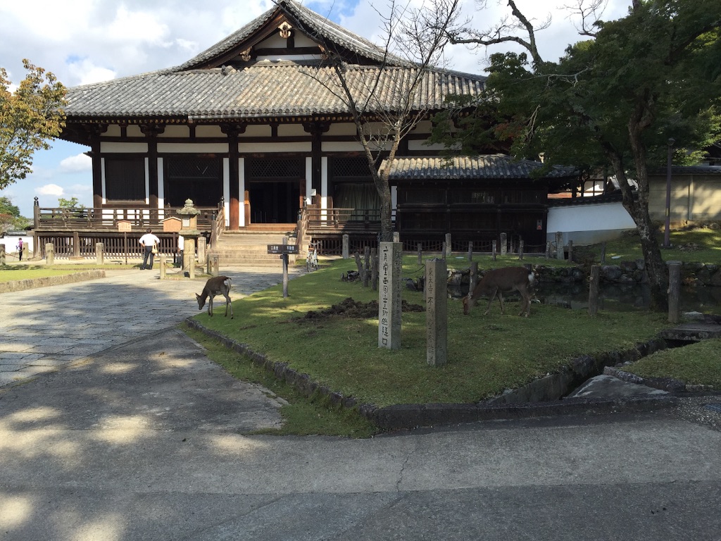 f:id:nekohaci:20160421235903j:image f:id:nekohaci:20160421235903j:image
