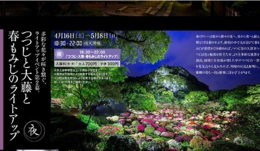 f:id:nekohaci:20160513233649j:image f:id:nekohaci:20160513233649j:image