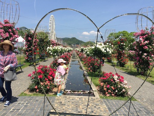 f:id:nekohaci:20160516233926j:image f:id:nekohaci:20160516233926j:image