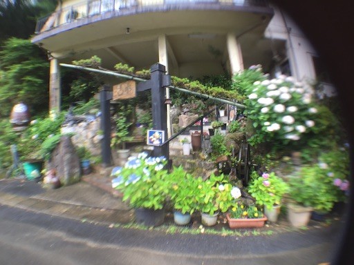 f:id:nekohaci:20160612223627j:image f:id:nekohaci:20160612223627j:image