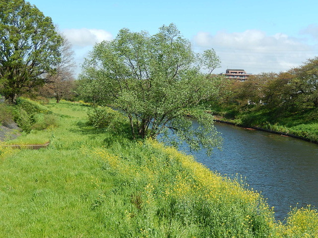 f:id:nekomama:20160417142301j:plain f:id:nekomama:20160417142301j:plain