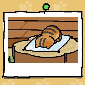 f:id:nekomama:20160424002945j:image f:id:nekomama:20160424002945j:image
