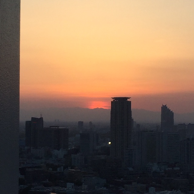 f:id:nekonekorun:20150521210357j:image f:id:nekonekorun:20150521210357j:image