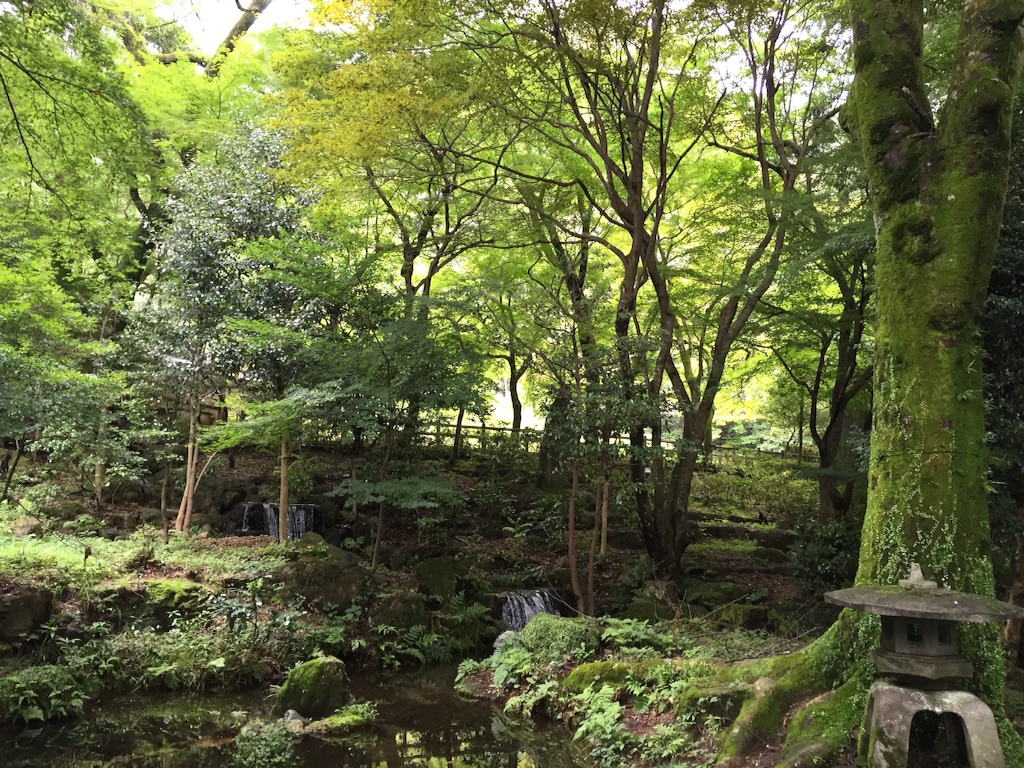 f:id:nekonekorun:20150721082719j:image f:id:nekonekorun:20150721082719j:image