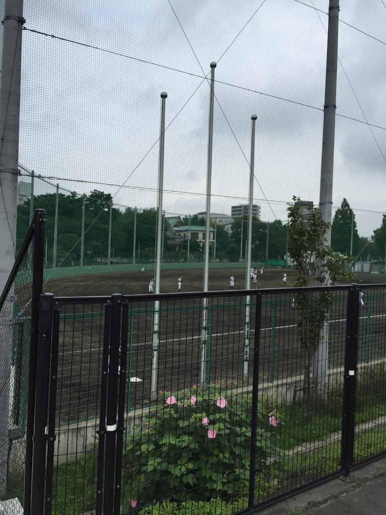 f:id:nekonekorun:20150906103442j:image f:id:nekonekorun:20150906103442j:image