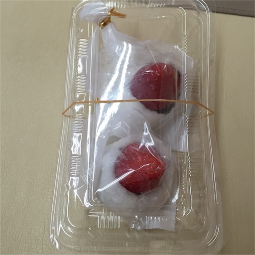 f:id:nekonekorun:20160227203013j:image f:id:nekonekorun:20160227203013j:image