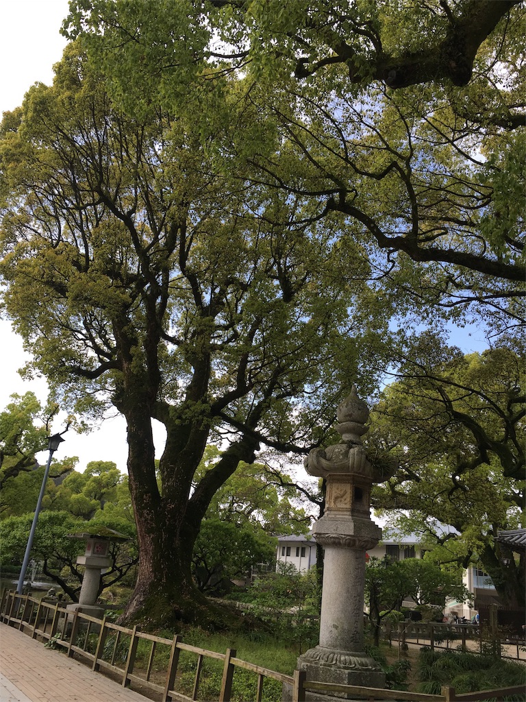 f:id:nekonekorun:20160414221531j:image f:id:nekonekorun:20160414221531j:image