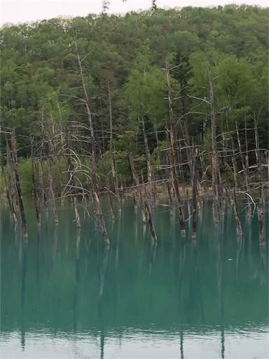 f:id:nekonosita:20160529085815j:image f:id:nekonosita:20160529085815j:image