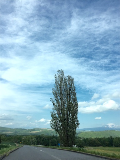 f:id:nekonosita:20160604183305j:image f:id:nekonosita:20160604183305j:image