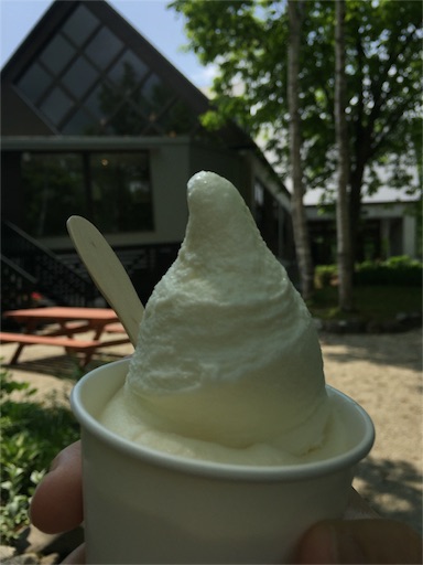 f:id:nekonosita:20160620080226j:image f:id:nekonosita:20160620080226j:image