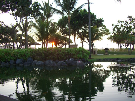 f:id:nekontan:20151205161911j:plain f:id:nekontan:20151205161911j:plain