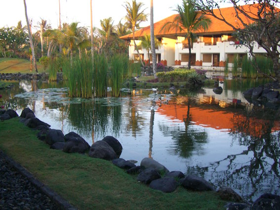 f:id:nekontan:20151205162011j:plain f:id:nekontan:20151205162011j:plain