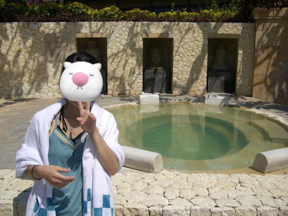 f:id:nekontan:20151205162229j:plain f:id:nekontan:20151205162229j:plain