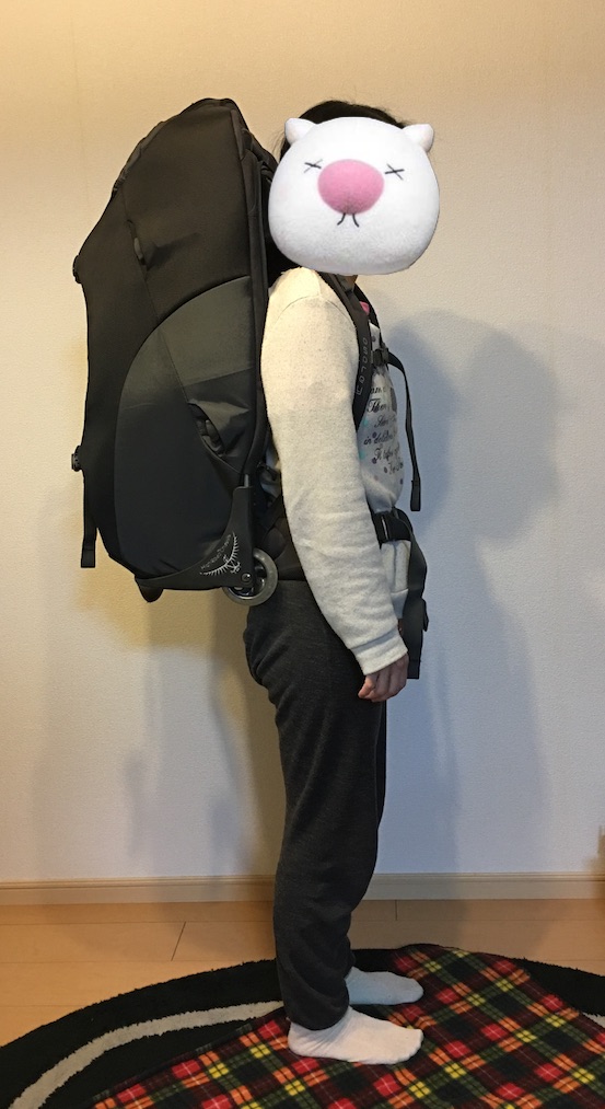 f:id:nekontan:20160209100745j:plain