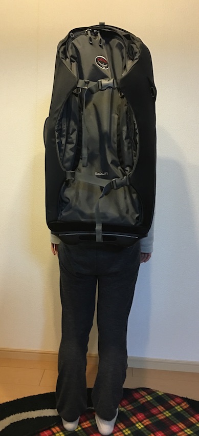 f:id:nekontan:20160209101106j:plain