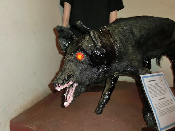 f:id:nekontan:20160716130942j:plain f:id:nekontan:20160716130942j:plain