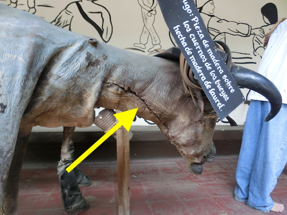 f:id:nekontan:20160716130954j:plain f:id:nekontan:20160716130954j:plain