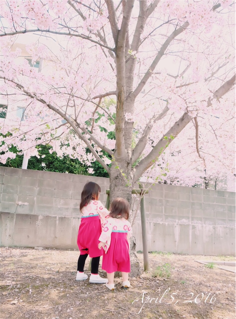 f:id:nemo5764:20160409125006j:image f:id:nemo5764:20160409125006j:image