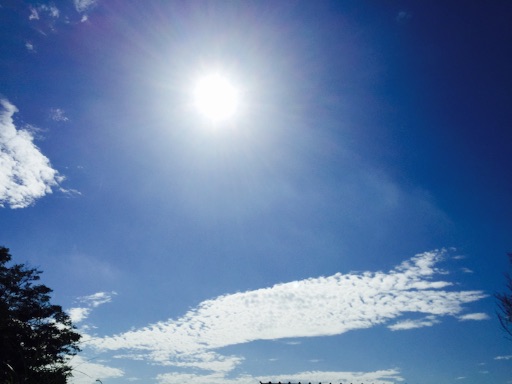 f:id:neoko:20150721183405j:image f:id:neoko:20150721183405j:image