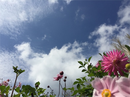 f:id:neoko:20151005105447j:image f:id:neoko:20151005105447j:image