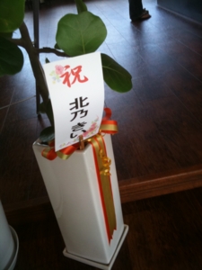 f:id:neovillage:20100903164116j:image f:id:neovillage:20100903164116j:image