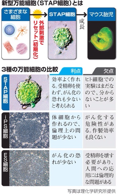 f:id:netkajino:20140130101746j:plain f:id:netkajino:20140130101746j:plain