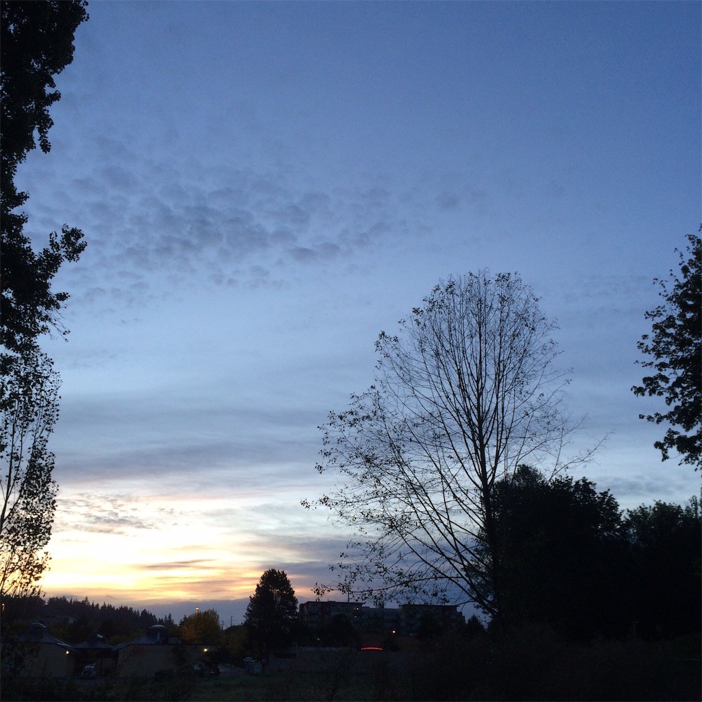 f:id:neubauten:20151005010235j:image f:id:neubauten:20151005010235j:image