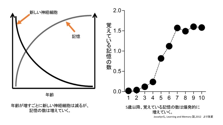 f:id:neurophys11:20151206071700j:plain