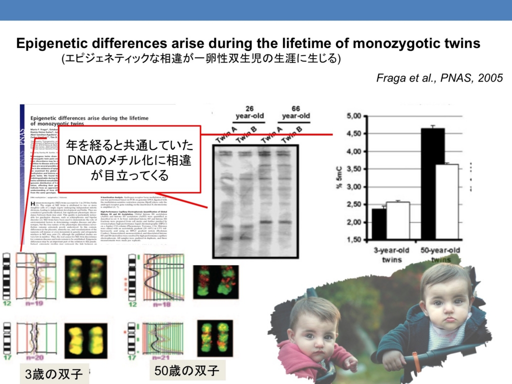 f:id:neurophys11:20160301222559j:plain f:id:neurophys11:20160301222559j:plain