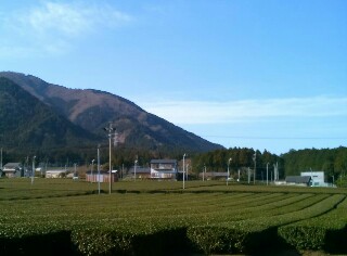 f:id:next-wakaba:20160323230932j:plain f:id:next-wakaba:20160323230932j:plain