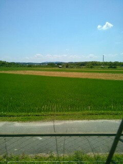 f:id:next-wakaba:20160610152449j:plain f:id:next-wakaba:20160610152449j:plain