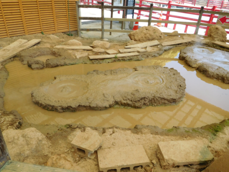 f:id:next49:20160501191428p:image f:id:next49:20160501191428p:image