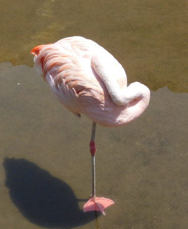 f:id:next49:20160501221551p:image f:id:next49:20160501221551p:image