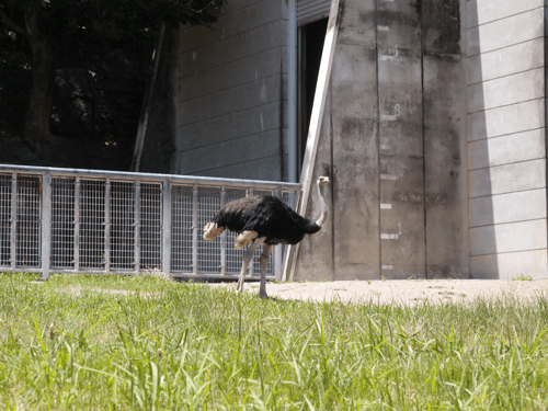 f:id:ng0012:20150604202506p:plain