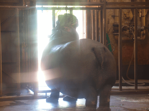 f:id:ng0012:20150604202547p:plain