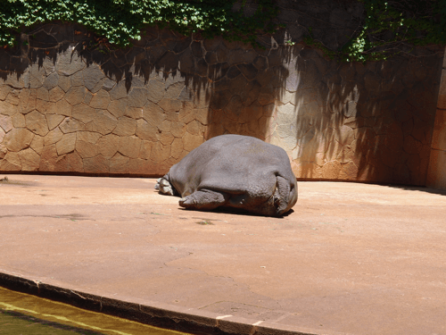 f:id:ng0012:20150604202557p:plain