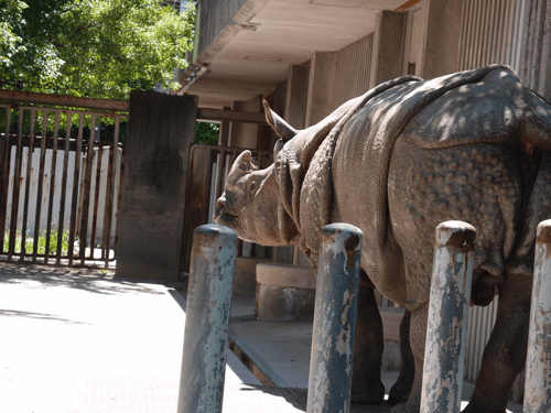 f:id:ng0012:20150604202637p:plain