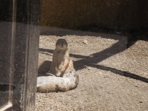 f:id:ng0012:20150604203450p:plain