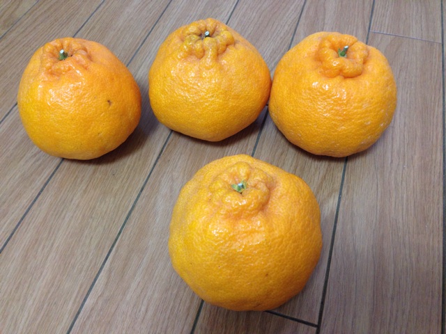 f:id:ngeko:20141223190844j:plain f:id:ngeko:20141223190844j:plain
