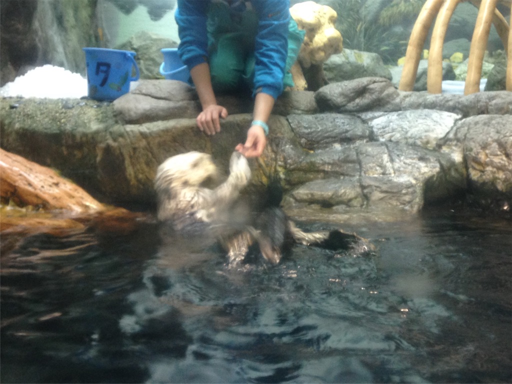 f:id:ngeko:20151218185433j:image f:id:ngeko:20151218185433j:image