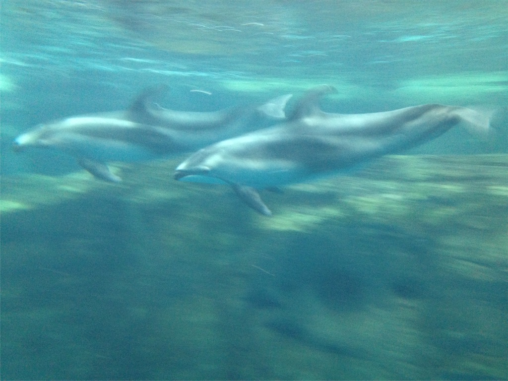 f:id:ngeko:20151218185711j:image f:id:ngeko:20151218185711j:image