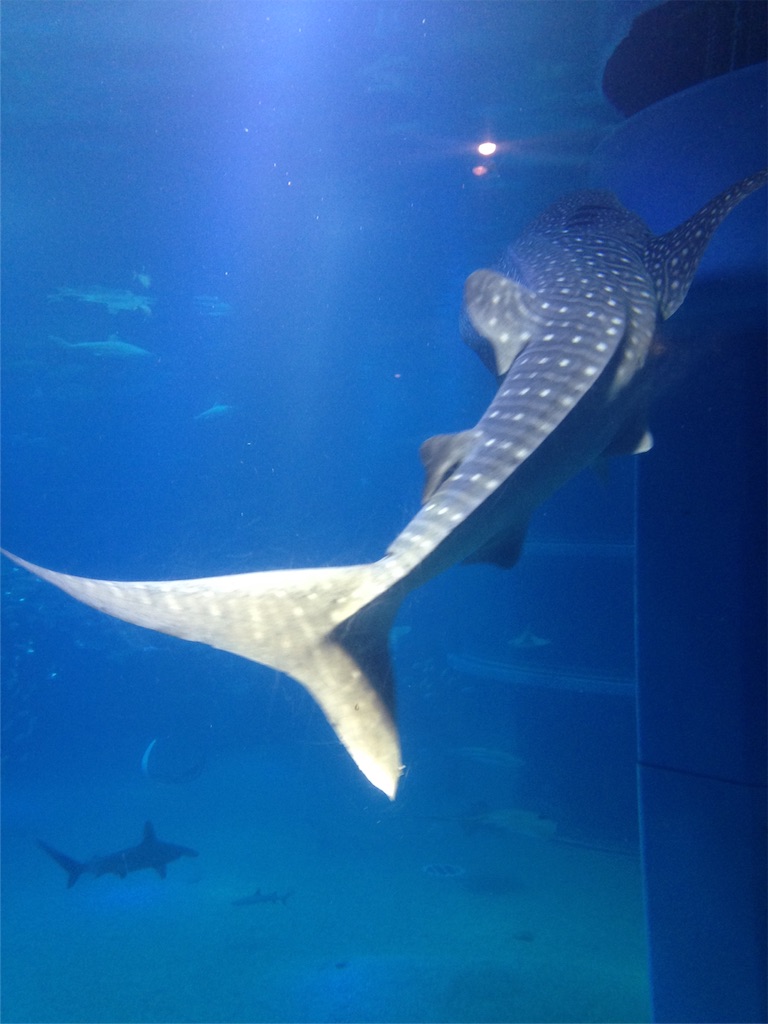 f:id:ngeko:20151218185743j:image f:id:ngeko:20151218185743j:image