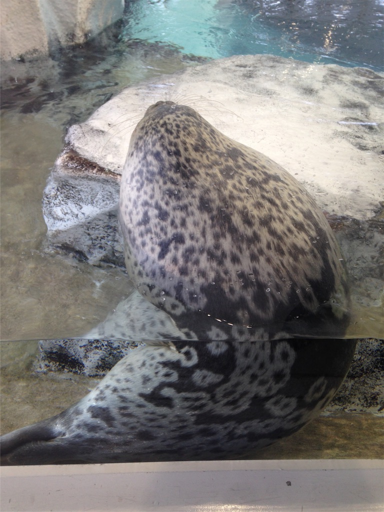 f:id:ngeko:20151218185827j:image f:id:ngeko:20151218185827j:image