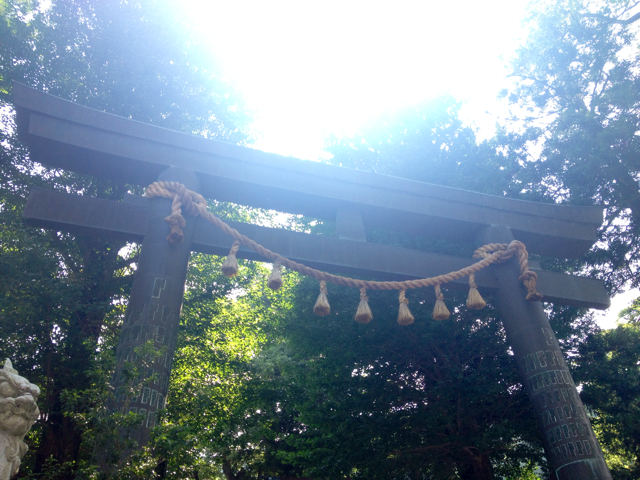 f:id:ngnkyk:20130821184450j:plain f:id:ngnkyk:20130821184450j:plain