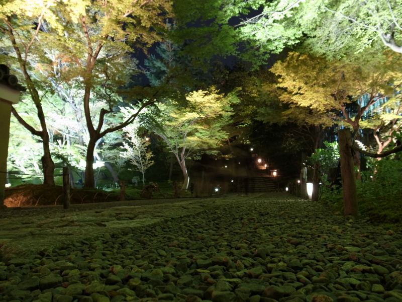 f:id:ni_fa:20150425143209j:plain f:id:ni_fa:20150425143209j:plain
