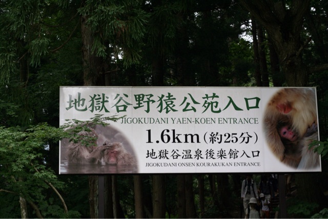 f:id:nicetaka44:20140813180536j:plain f:id:nicetaka44:20140813180536j:plain