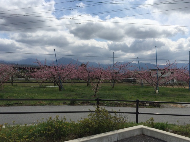 f:id:nicetaka44:20150409124556j:plain f:id:nicetaka44:20150409124556j:plain
