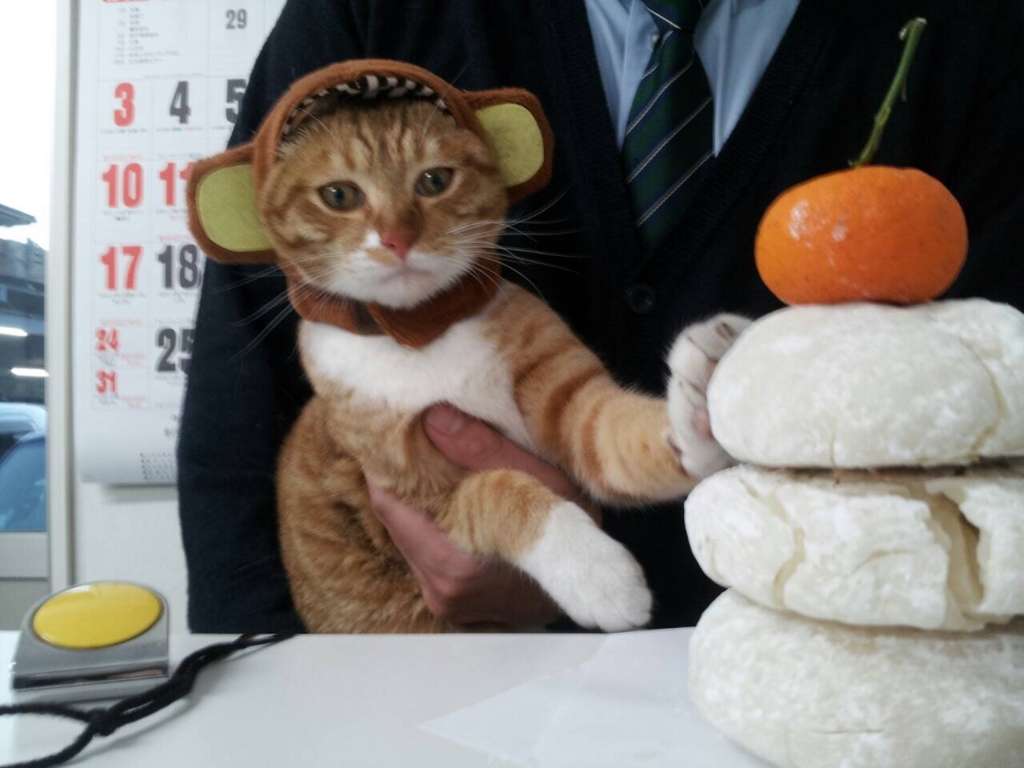 f:id:nichieitaxi:20160105125549j:plain f:id:nichieitaxi:20160105125549j:plain