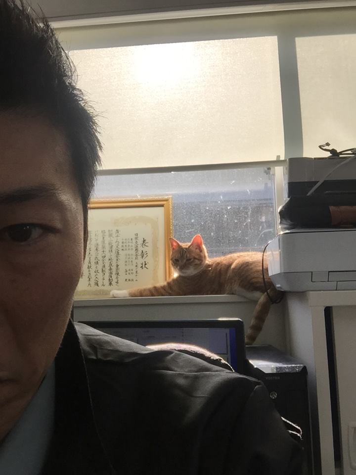 f:id:nichieitaxi:20160115183010j:plain f:id:nichieitaxi:20160115183010j:plain