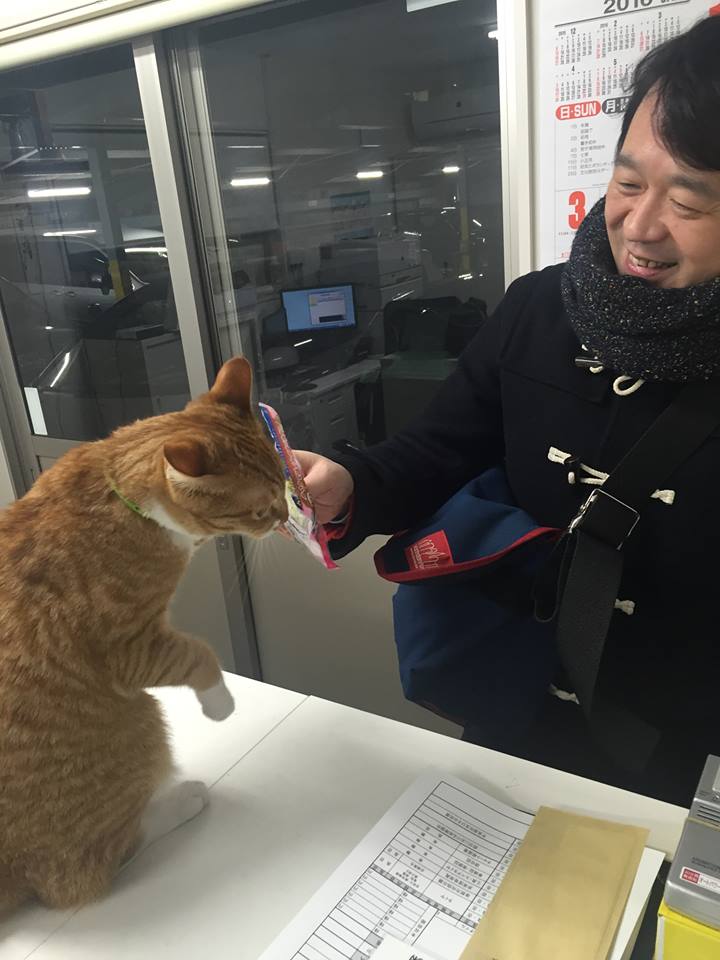 f:id:nichieitaxi:20160115183552j:plain f:id:nichieitaxi:20160115183552j:plain